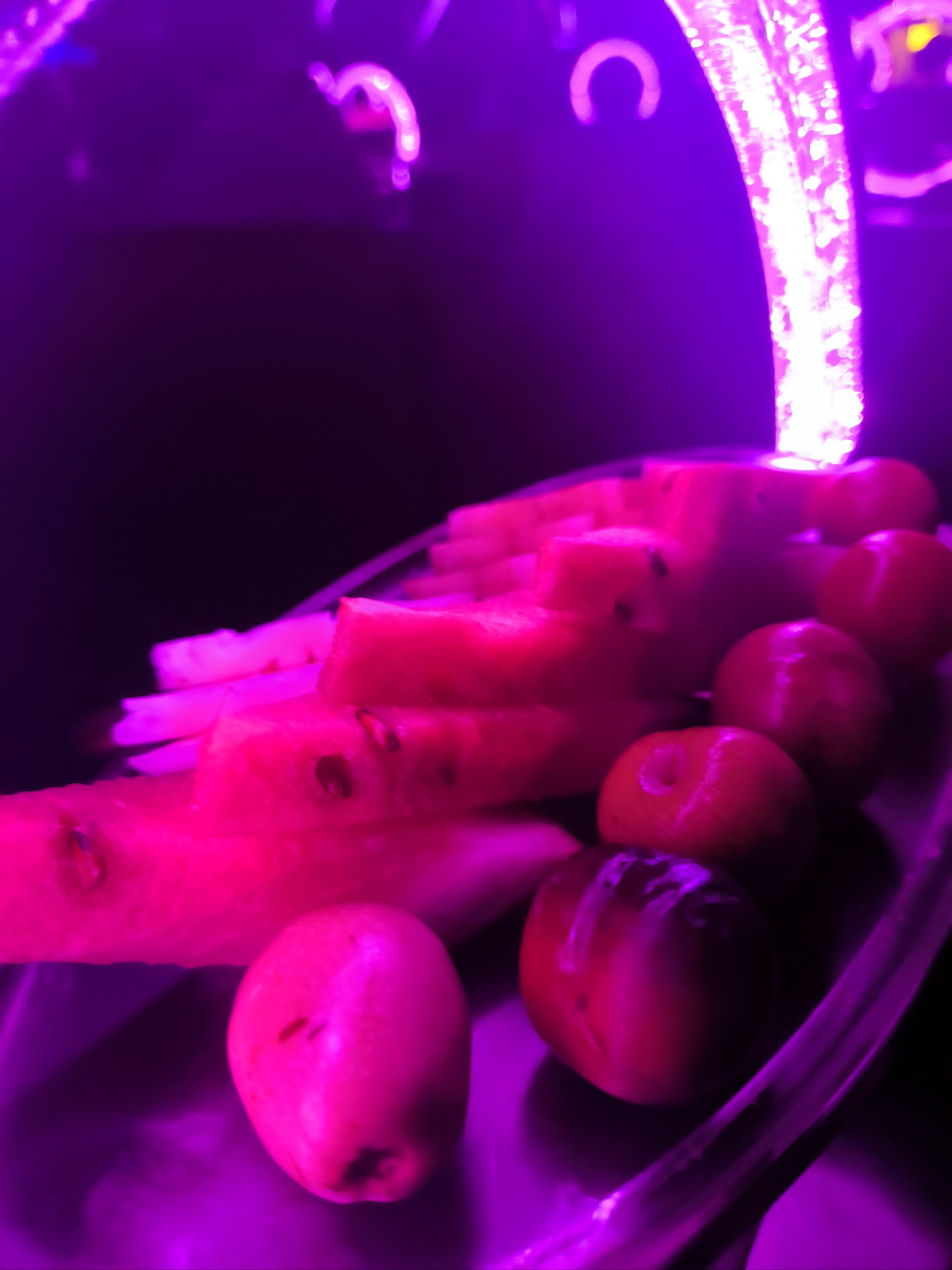 广元商务KTV，商务高端洽谈与欢乐相融-青川县ktv预订